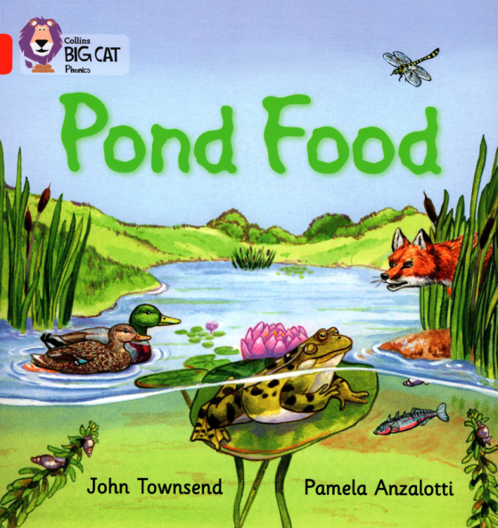 pond food